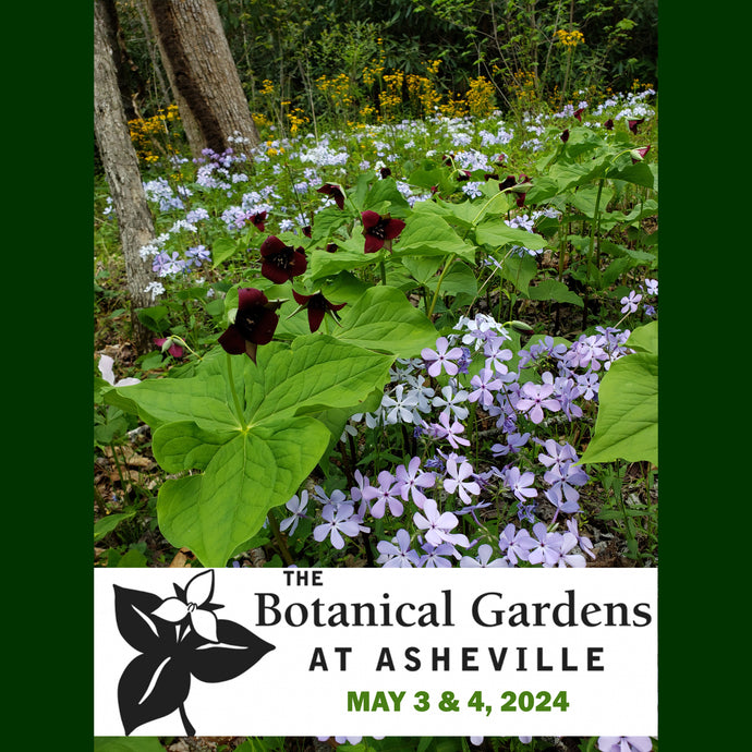 Botanical Gardens at Asheville Plant Sale