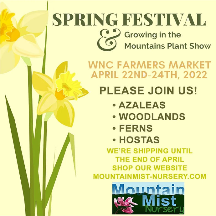 It's Spring Festival Time at the WNC Farmers Market!