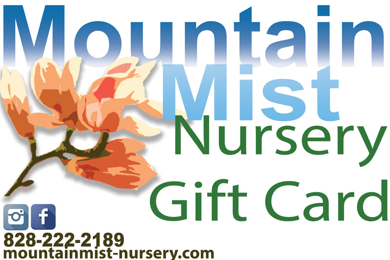 Mountain Mist Nursery Gift Card
